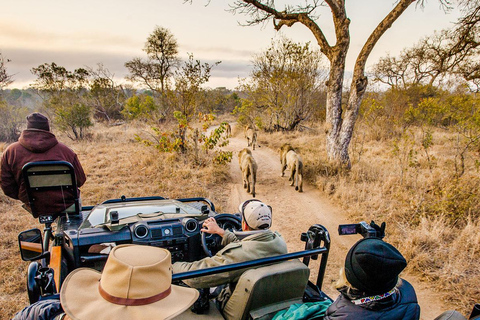 Tour de día completo en Mokoro por el Okavango