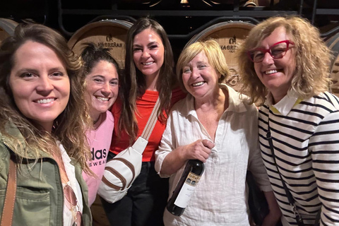 Rioja: Wine Tour with a Local Expert with Tastings