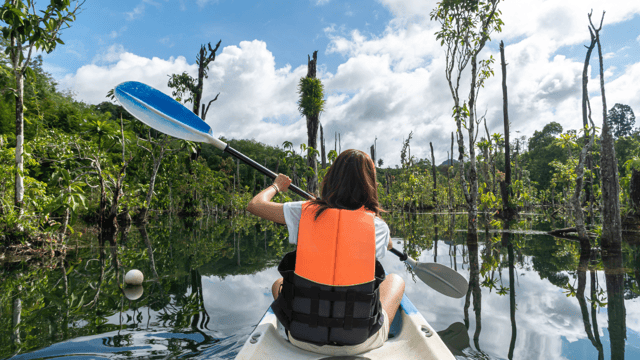 Krabi: South Kayak Klong Root Kayaking Tour