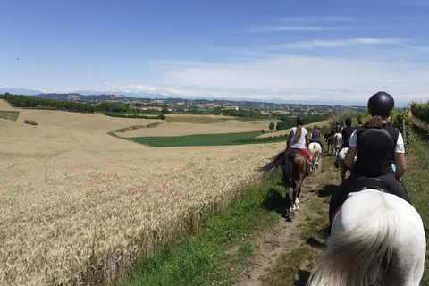 Monferrato: Horseback Riding in Nature with Lunch at a Farmhouse