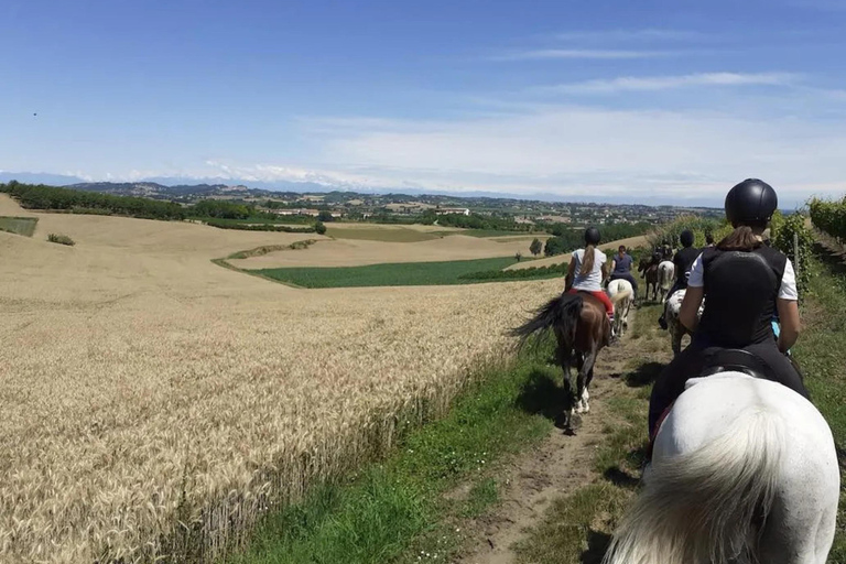 Monferrato: Horseback Riding in Nature with Lunch at a Farmhouse