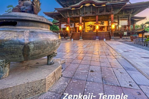 Nagano/Tokyo: Snow Monkey Private Car Tour Hotel Pick & Drop