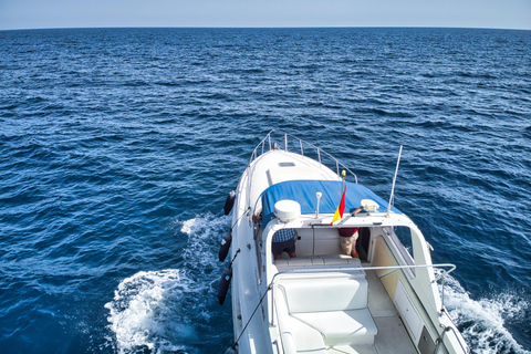 Puerto de Mogán: yacht privato per un massimo di 10 persone