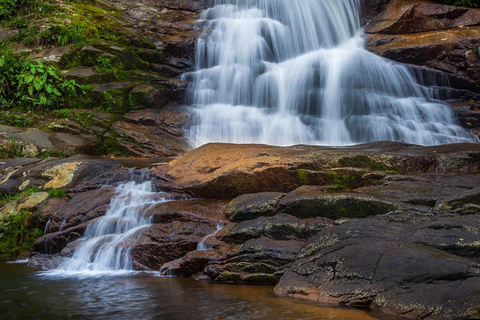 Aventure en Jeep à Paraty : sentier écologique, distillerie et baignade dans la rivièreAventure en Jeep à Paraty : parcours écologique, distillerie et baignade dans la rivièr