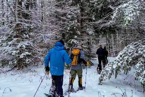 Guided Winter Snowshoe Adventure from Boston