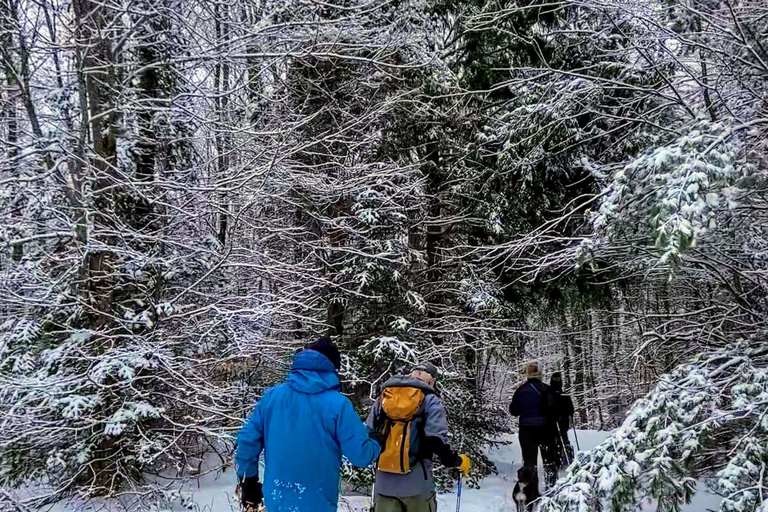 Guided Winter Snowshoe Adventure from Boston