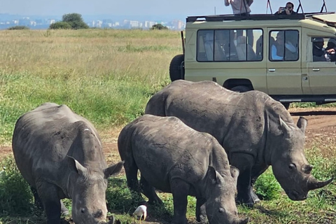 4 des Big Five Parc national de Nairobi Visite guidée d&#039;une demi-journéeConduite partagée pour le gibier