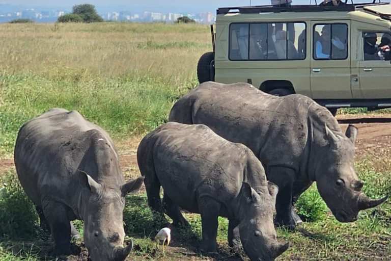 4 des Big Five Parc national de Nairobi Visite guidée d&#039;une demi-journéeConduite partagée pour le gibier