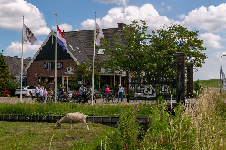 Amsterdam: 3-stündige E-Bike-Tour mit Windmühlen & Käse