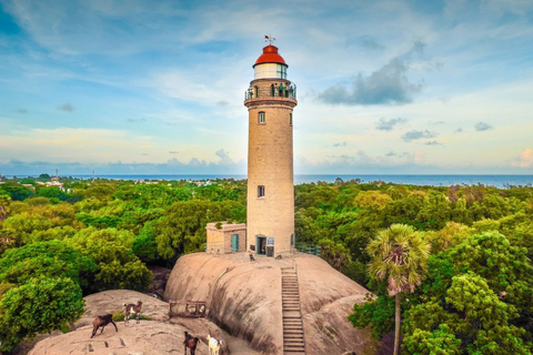 From Chennai: 12-Day Private Tour to Cochin with 3-Star Stay Chennai to Cochin 12 Days Private Tour with 3* Hotels