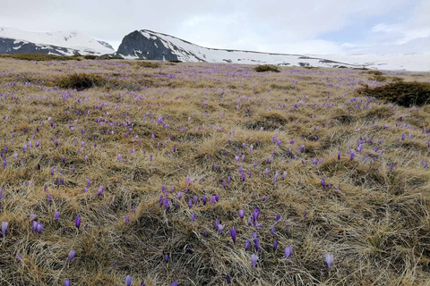 Seven Rila Lakes, Day Trip from Sofia