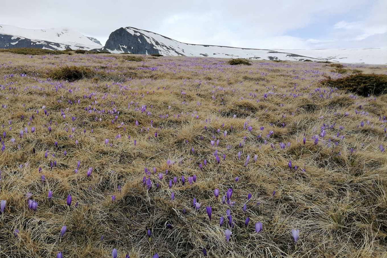 Seven Rila Lakes, Day Trip from Sofia