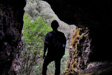 Oaxaca: Hiking in the Mushroom Forest of Cuajimoloyas