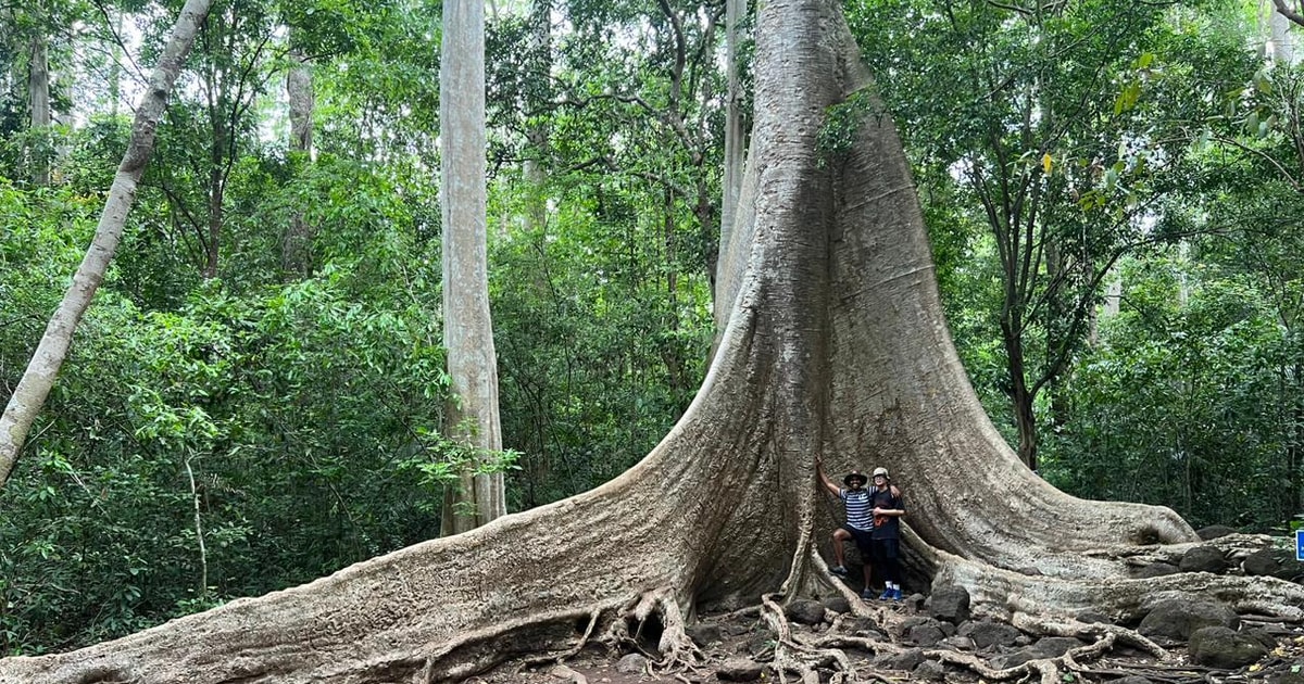 Cat Tien Nationalpark Privat 1dags guidet tur med motorcykel/bil GetYourGuide