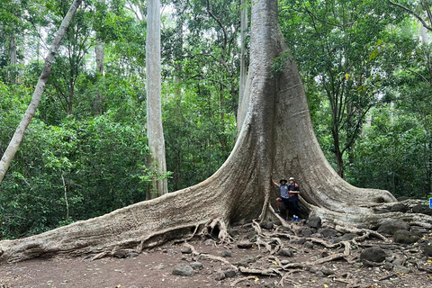 Cat Tien National Park 2-Day Tour By Motorbike/Car From HCMC Cat Tien National Park 2-Day Tour By Car