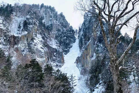 北海道2日游：破冰船钏路与旭山动物园之旅北海道·2日游：破冰船钏路与旭山动物园之旅