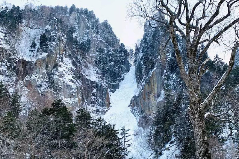 北海道2日游：破冰船钏路与旭山动物园之旅北海道·2日游：破冰船钏路与旭山动物园之旅
