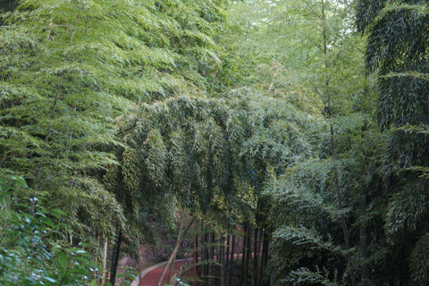 Hangzhou Moganshan Private Day Tour with Local Tour Guide