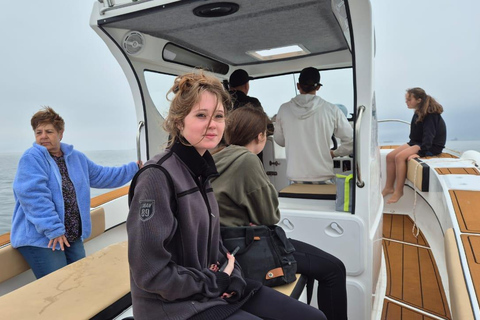Walvis Bay: Intimate Marine Wildlife Cruise