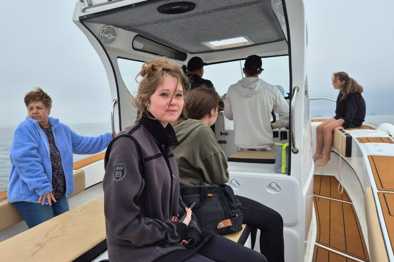 Walvis Bay: Intimate Marine Wildlife Cruise