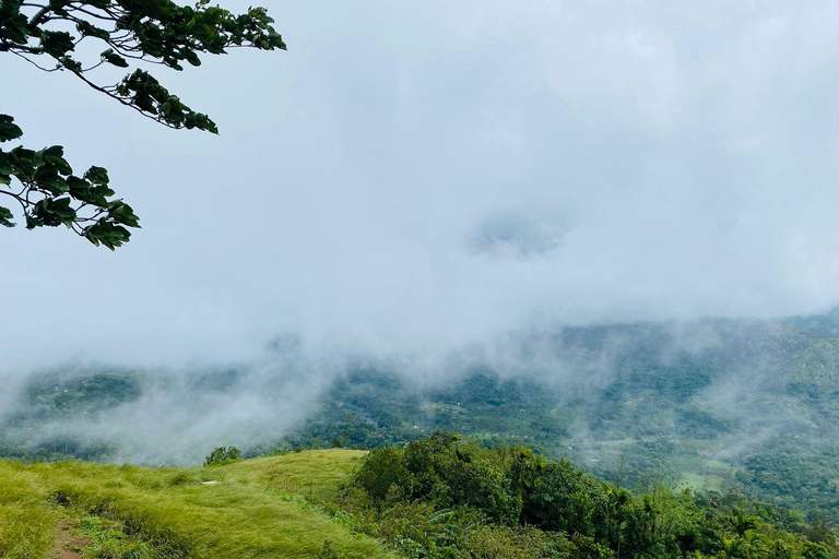 Kochi: Attappadi & Silent Valley 2-Day Tour with Meals