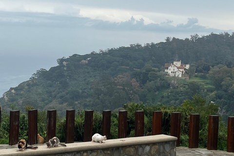 Tangeri: Matisse e il tour della città