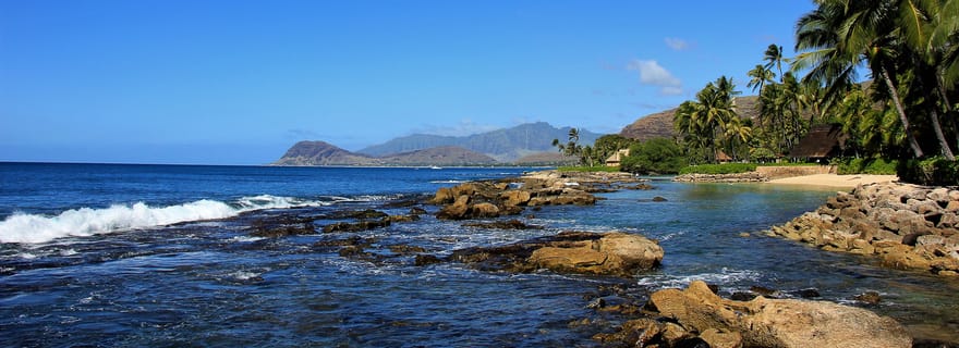 Ouest d'Oahu : observation des dauphins et plongée avec tuba