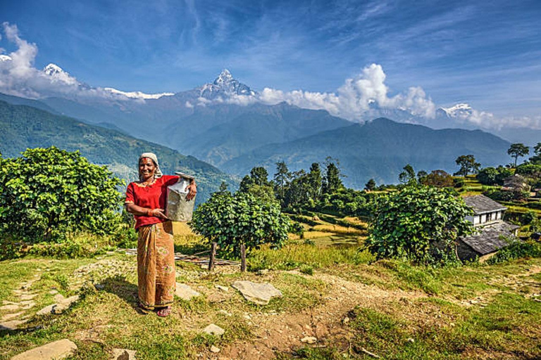 Pokhara: 3-dniowa łatwa wycieczka piesza do Annapurna Himalayas Foothill