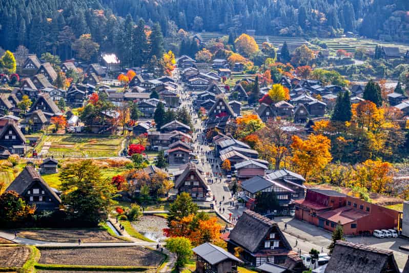 Nagoya: Hida Takayama & World Heritage Shiragawa-go Day Tour