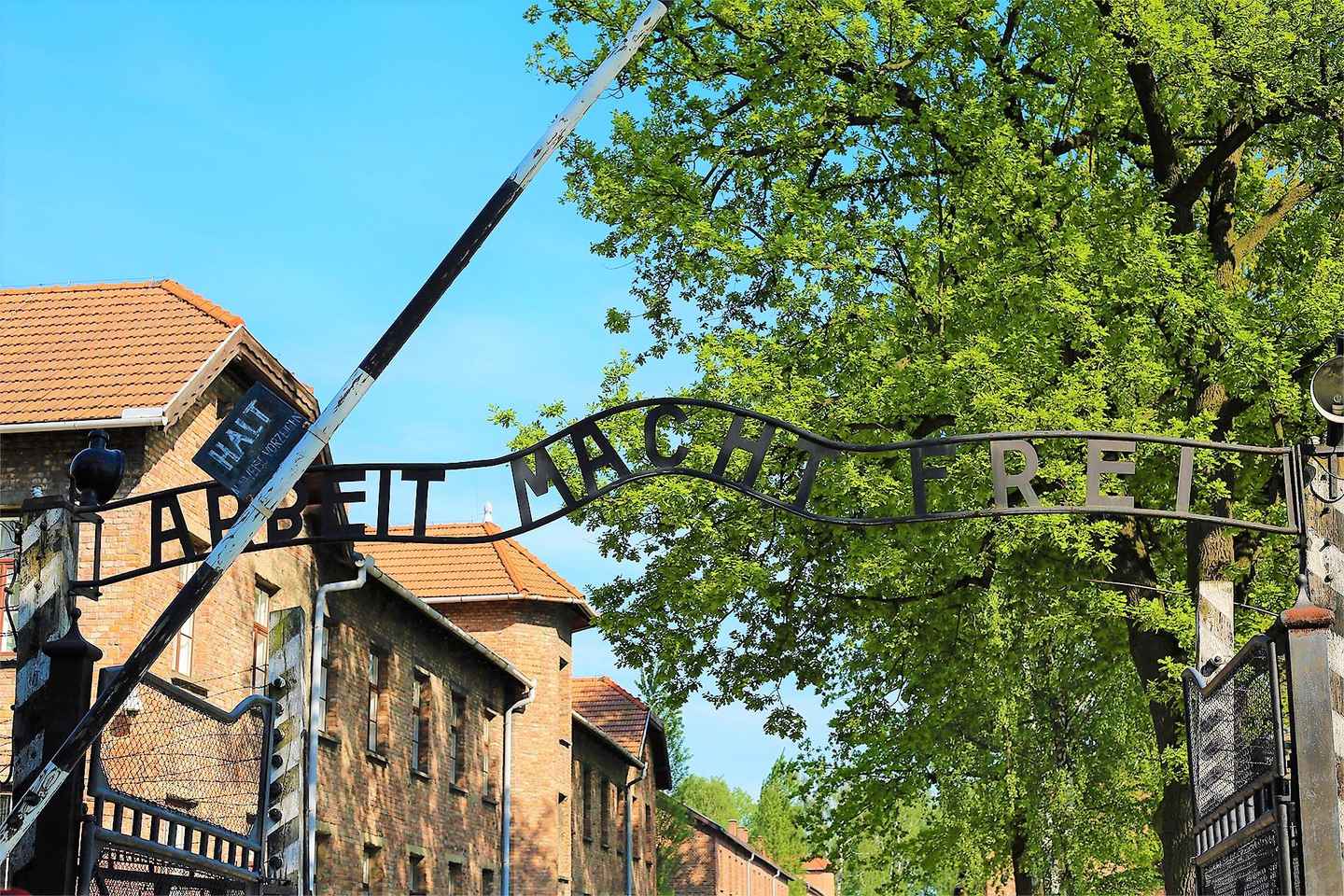 From Krakow: Auschwitz-Birkenau Museum Last Minute Tour