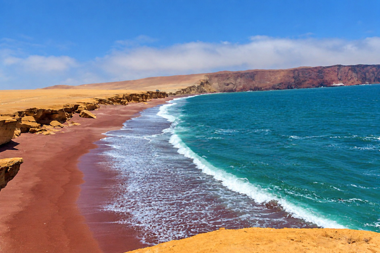 Paracas: Full Day Between Ocean and Desert From Ica: Tambo Colorado and the Hidden Oasis of the Paracas Desert