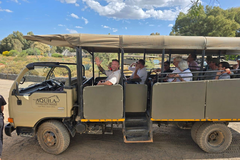 From Cape Town: LGBTQ+ Friendly Big 5 Sunset Safari