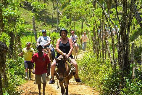 Journée complète à Samaná, île de Baracardi, chevaux, cascade de citrons