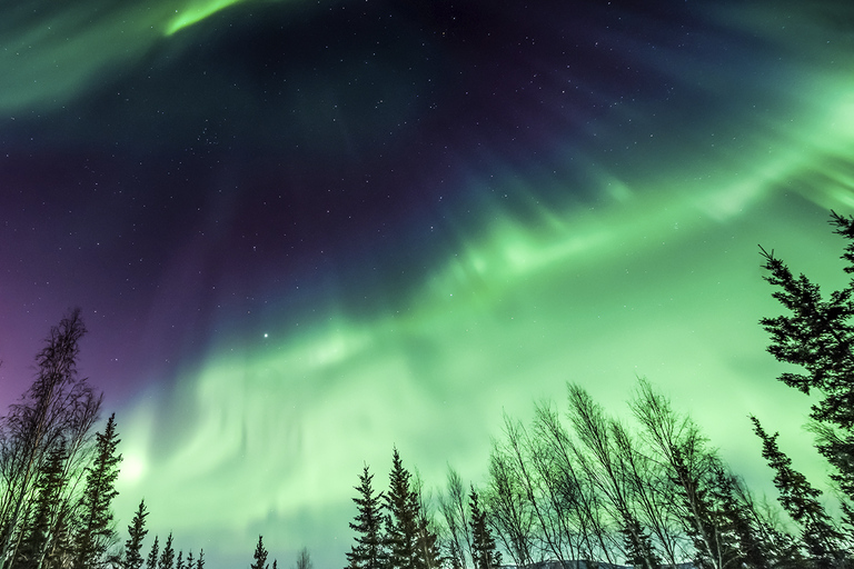 Rovaniemi: Northern Lights Campfire Trip - a New Budget Tour