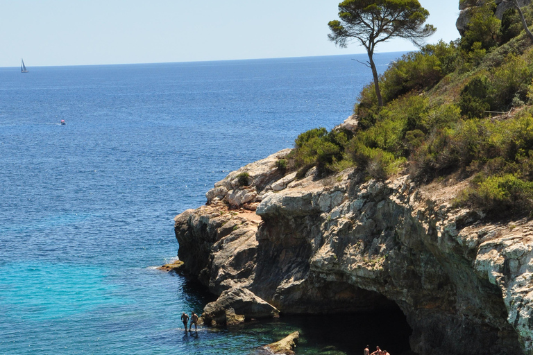 Majorque : Excursion d'une journée à Des Moro, Salmunia et LlombardsDepuis le nord : Mallorca tour Cala Des Moro, Salmunia y Llombard