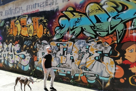 Walls of Wonder: Guided Streetart Walking Tour CGN Walls of Wonder: Cologne's Vibrant Street Art Scene