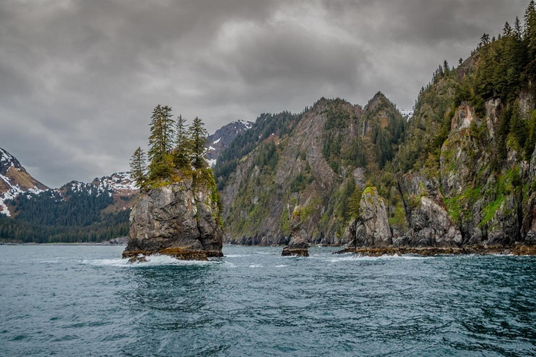 Seward: Captain's Choice Kenai Fjords National Park Tour