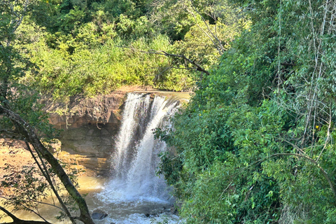 Essence of Iguazú: Full-Day Tour of Iguazú Falls (Brazil Side) and São João Trail Essence of Iguaçu: Full Day at Iguaçu Falls, Brazil, and São João Trail
