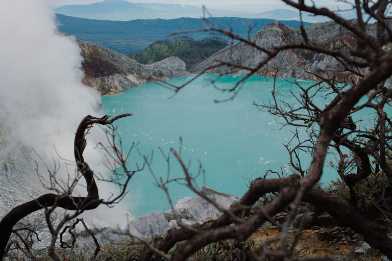 Surabaya/Malang/Probolinggo: 2D1N Bromo & Ijen W/ Bali drop Malang:2D1N budget sharing tour Bromo & Ijen W/ Bali dropoff