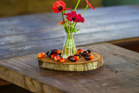 Itacaré: Maraú - 5-Day Silence and Purification Retreat