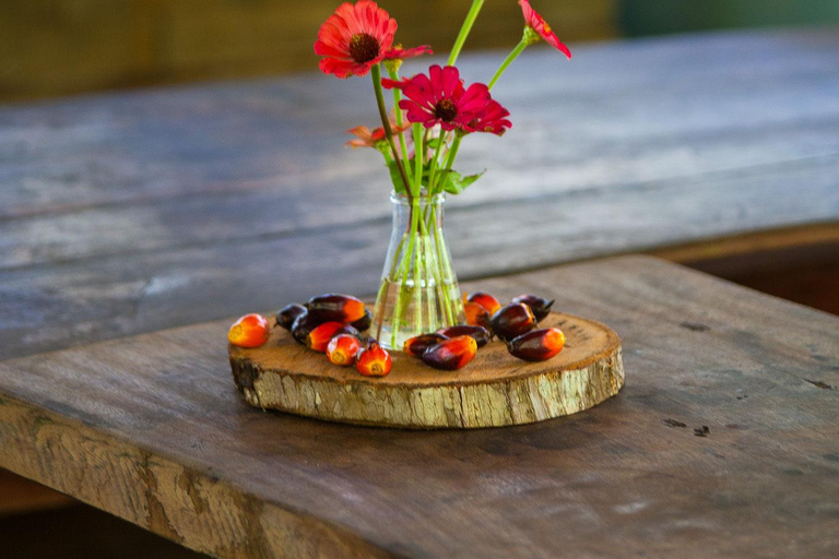 Itacaré: Maraú - 5-Day Silence and Purification Retreat