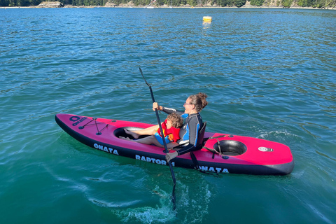 Snorkel Focas Remando Vida Salvaje Tour en barco en Vancouver