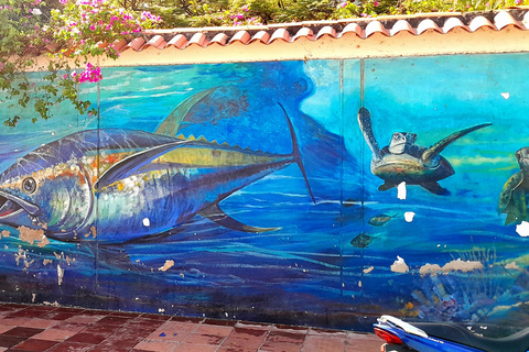 Santa Marta Graffiti Tour: Urbane Kunst &amp; Kultur