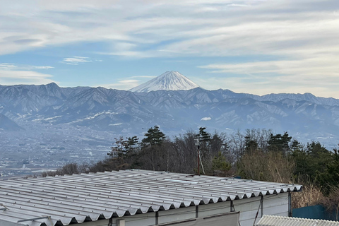 东京：富士山、Tatoo OK 温泉、清酒品尝和 Hoto 午餐