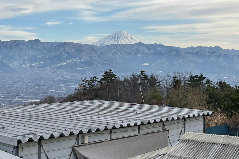 东京：富士山、Tatoo OK 温泉、清酒品尝和 Hoto 午餐