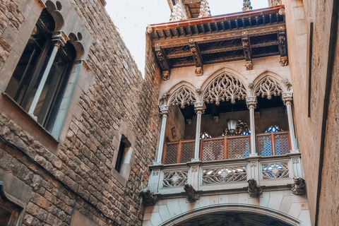 Barcelona: Introduction to the Gothic Quarter Walking Tour Private Tour (Max 20 Adults)