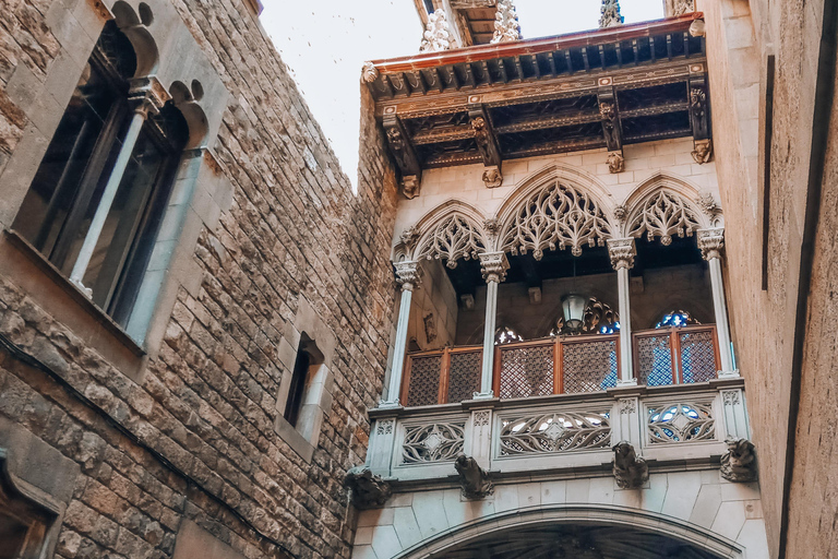Barcelona: Introduction to the Gothic Quarter Walking Tour Private Tour (Max 20 Adults)