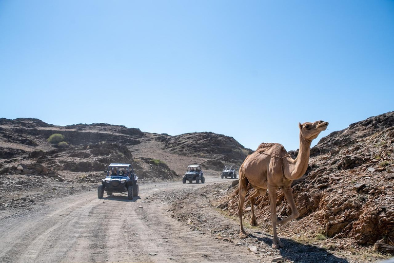 Oman Discovery – Full Day Buggy Adventure - From Salalah