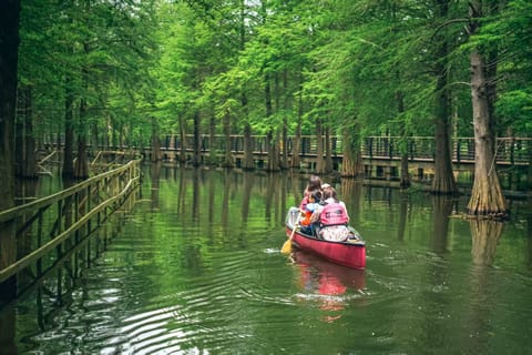 Shanghai: Chongming Island Hidden Wetland & Canoe Tour
