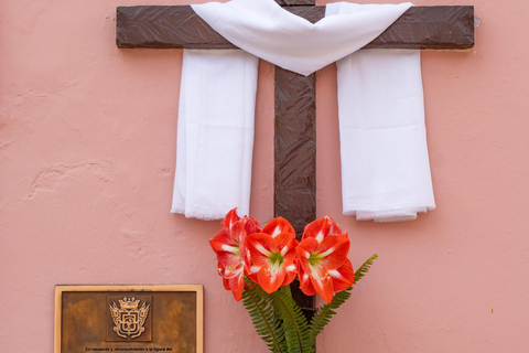 Balades Découverte Teide - La Orotava - Icod de los Vinos